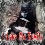 Vicki Round - Facebook