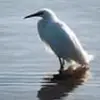 Vicki Rouse - @vicki.rouse8 - TikTok