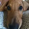 Vicki Roy - @vickiroy19 - TikTok