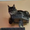 Vicki Roy - @vicki.roy - TikTok