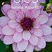 Vicki Rupp - Facebook