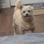Vicki Thackston Ryder - @vickithackston - Instagram