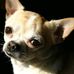 Vickie T. Ryder - Facebook