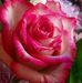 Vicki Saunders - Facebook