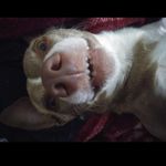 Vicki Saunders - @vickisaunders1215 - Instagram