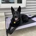 Vickie Schaefer - Facebook