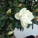Vicki Schauer - @torilyn56 - Instagram