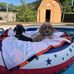Vicki Rodgers Schmelzer - Facebook