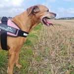 Vicki Schofield - @ark_baby_ - Instagram