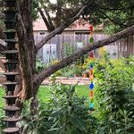 Vicki Seeger - @seegervicki - Instagram
