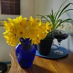 Vicki Shaffer - @bcpetsitter - Instagram
