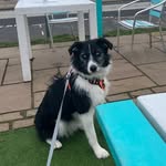 Vicki Shepherd - @vickis.1208 - Instagram