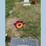 Vicki Shepherd - @letsmakeal2016 - Instagram