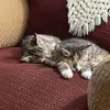 Vicki_shepherd - @vicki_shepherd - TikTok