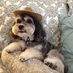 Vicki Sherrod - @duzybows - Instagram