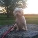 Vicki Spurlock - Facebook