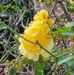 Vicki Squires - Facebook