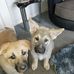 Vicki Squires - Facebook
