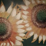 Vicki Stackhouse - @stackhousevicki - Instagram
