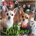 Vicki Stanford - Facebook