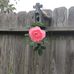 Vicki Stapleton - Facebook