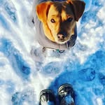 Vicky Stapleton-wale - @run_tory_run - Instagram
