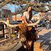 Vicki Stefans - Facebook