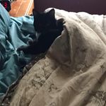 Vicki Strait - @vickistrait - Instagram