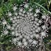 Vickie Strand - Facebook