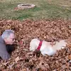 Vicki Strauss - @vicki.strauss8 - TikTok
