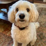 Vicki Swan - @vicki.swan.585 - Instagram