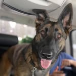 Vicki Swanson - @vickiswanson1 - Instagram