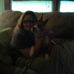 Vicki Sword - Facebook