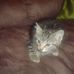 Vicki Sword - Facebook