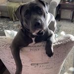 Vicki Muir Tanner - @montemommah - Instagram