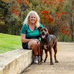 Vickiphotos - Equine Sports Photographer - @vicki.tapper - Instagram