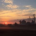 Vicky Terrell Stover - @engelfamilyfarms - Instagram