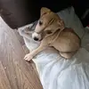 Vicky Travis - @vicky.travis2 - TikTok