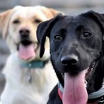 Vicki Vance - @vicki.vance.9889 - Instagram