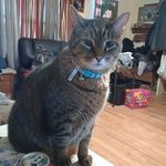 Vicki Vance - @vicki.vance.125 - Instagram