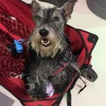 Vicki Vance Lisbon - @vickilisbon - Instagram