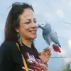 vickivanderpool22 - @vickivanderpool22 - TikTok