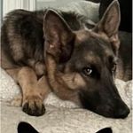 Vicki Vaughn - @vickivaughn2 - Instagram