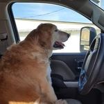 Vicki Vaughn Smith - @vicki4469 - Instagram