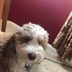 Vicki Vickers Phillips - @vicki.v.phillips - Instagram