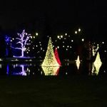 Vicki Hershock Wagner - @vickiwagner1948 - Instagram