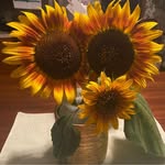 Vicki Wagner - @evad831 - Instagram
