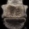 Vicki Jancic Wainwright - @vicki.vjw - TikTok