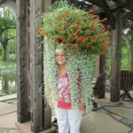 Vicki Miller Wainwright - @vicki.wainwright.1 - Instagram