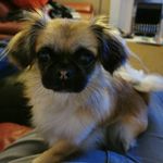 Vickiwainwright - @vickiwainwright2 - Instagram